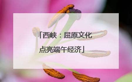 西峡：屈原文化点亮端午经济