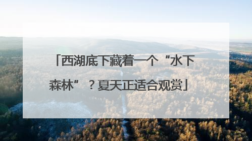 西湖底下藏着一个“水下森林”？夏天正适合观赏