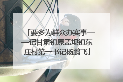 要多为群众办实事——记甘肃镇原孟坝镇东庄村第一书记杨鹏飞