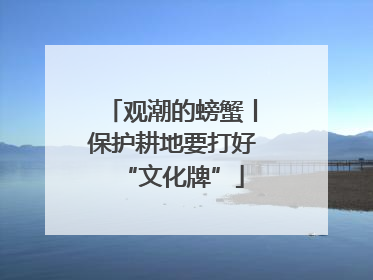 观潮的螃蟹丨保护耕地要打好“文化牌”