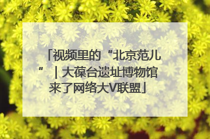 视频里的“北京范儿”｜大葆台遗址博物馆来了网络大V联盟