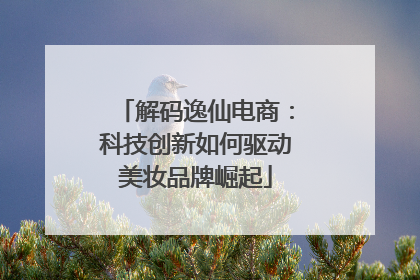 解码逸仙电商：科技创新如何驱动美妆品牌崛起
