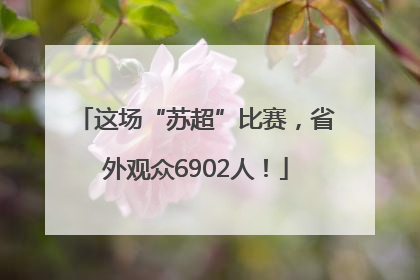 这场“苏超”比赛，省外观众6902人！