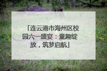 连云港市海州区校园六一盛宴：童趣绽放，筑梦启航