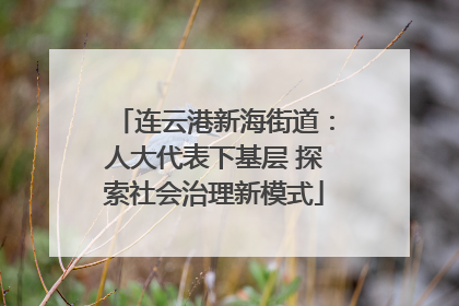 连云港新海街道：人大代表下基层 探索社会治理新模式
