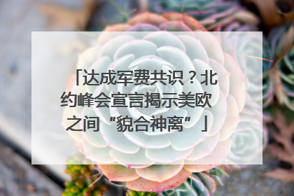 达成军费共识？北约峰会宣言揭示美欧之间“貌合神离”