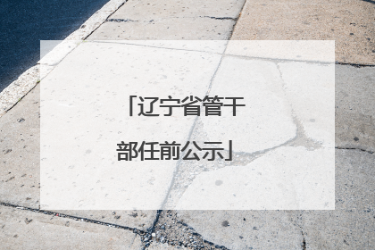 辽宁省管干部任前公示