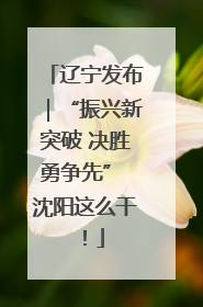 辽宁发布｜“振兴新突破 决胜勇争先” 沈阳这么干！