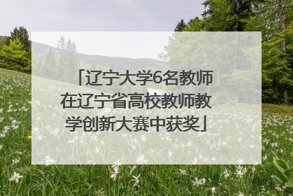 辽宁大学6名教师在辽宁省高校教师教学创新大赛中获奖