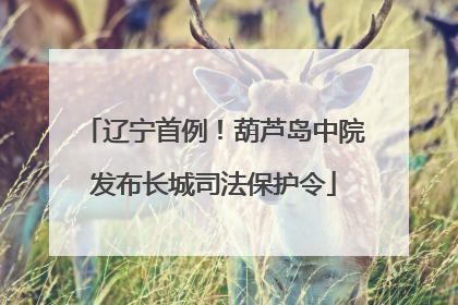 辽宁首例！葫芦岛中院发布长城司法保护令