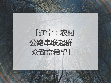 辽宁：农村公路串联起群众致富希望