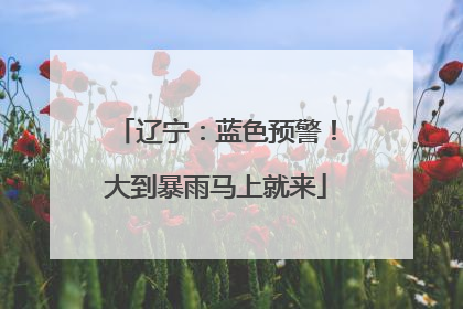 辽宁：蓝色预警！大到暴雨马上就来