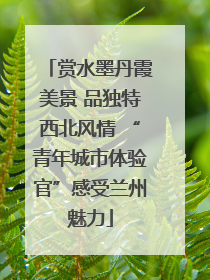 赏水墨丹霞美景 品独特西北风情 “青年城市体验官”感受兰州魅力