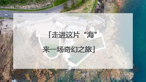 走进这片“海”来一场奇幻之旅