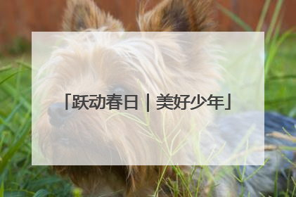 跃动春日｜美好少年
