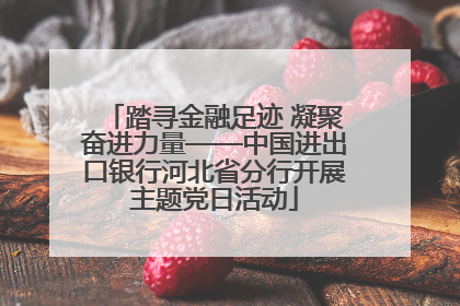 踏寻金融足迹 凝聚奋进力量——中国进出口银行河北省分行开展主题党日活动