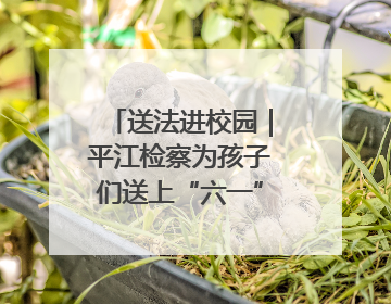 送法进校园｜平江检察为孩子们送上“六一”法治大礼包！