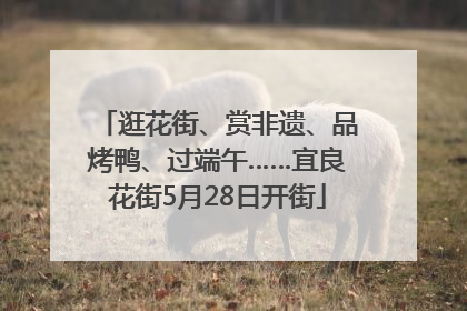 逛花街、赏非遗、品烤鸭、过端午……宜良花街5月28日开街