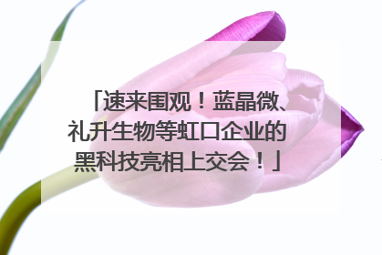 速来围观！蓝晶微、礼升生物等虹口企业的黑科技亮相上交会！