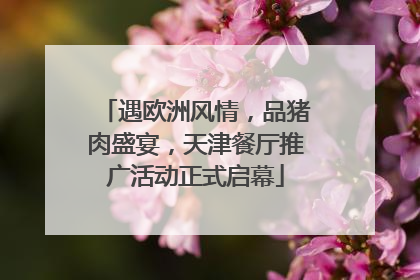 遇欧洲风情，品猪肉盛宴，天津餐厅推广活动正式启幕
