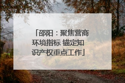 邵阳：聚焦营商环境指标 锚定知识产权重点工作