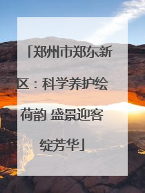 郑州市郑东新区：科学养护绘荷韵 盛景迎客绽芳华