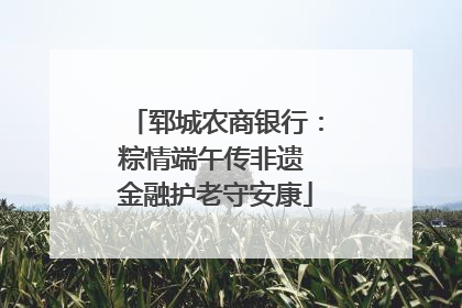 郓城农商银行：粽情端午传非遗 金融护老守安康