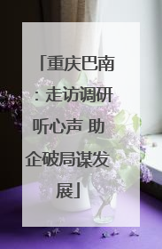 重庆巴南：走访调研听心声 助企破局谋发展