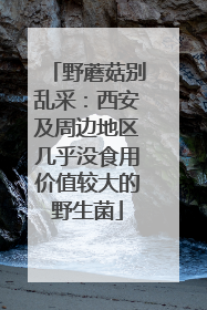 野蘑菇别乱采：西安及周边地区几乎没食用价值较大的野生菌