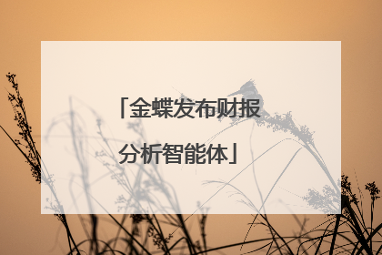 金蝶发布财报分析智能体