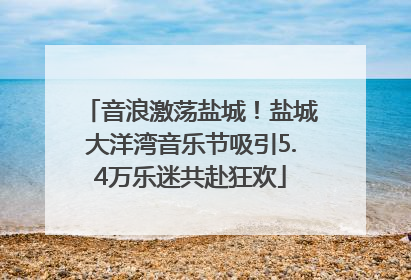 音浪激荡盐城！盐城大洋湾音乐节吸引5.4万乐迷共赴狂欢