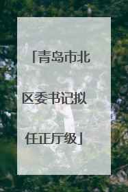 青岛市北区委书记拟任正厅级