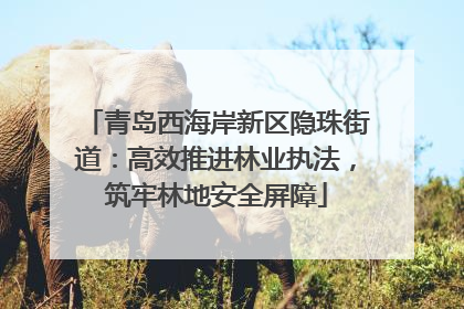 青岛西海岸新区隐珠街道：高效推进林业执法，筑牢林地安全屏障