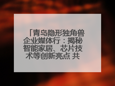 青岛隐形独角兽企业媒体行：揭秘智能家居、芯片技术等创新亮点 共绘科技新篇章