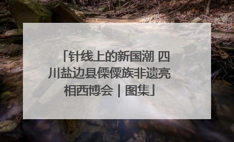 针线上的新国潮 四川盐边县傈僳族非遗亮相西博会｜图集