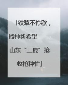 铁犁不停歇，播种新希望——山东“三夏”抢收抢种忙