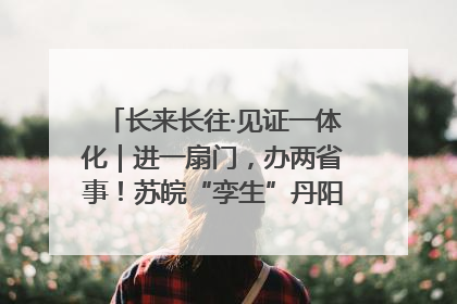长来长往·见证一体化｜进一扇门，办两省事！苏皖“孪生”丹阳如何做到的？