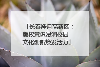 长春净月高新区：版权意识浸润校园 文化创新焕发活力