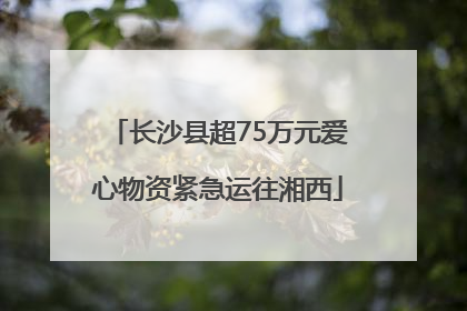 长沙县超75万元爱心物资紧急运往湘西