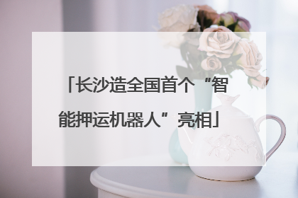 长沙造全国首个“智能押运机器人”亮相