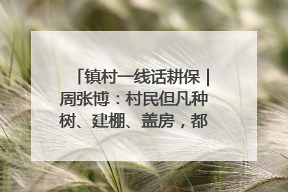 镇村一线话耕保｜周张博：村民但凡种树、建棚、盖房，都要向街道报批
