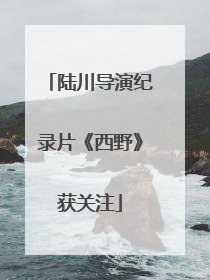 陆川导演纪录片《西野》获关注