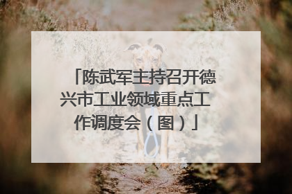 陈武军主持召开德兴市工业领域重点工作调度会（图）