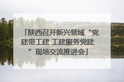 陕西召开新兴领域“党建带工建 工建服务党建”现场交流推进会