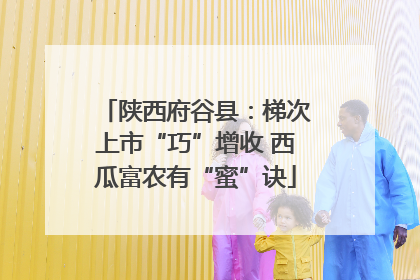 陕西府谷县：梯次上市“巧”增收 西瓜富农有“蜜”诀