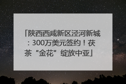 陕西西咸新区泾河新城：300万美元签约！茯茶“金花”绽放中亚