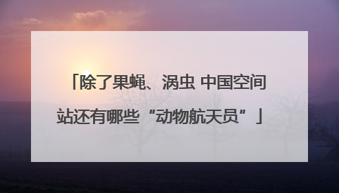 除了果蝇、涡虫 中国空间站还有哪些“动物航天员”