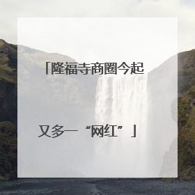 隆福寺商圈今起又多一“网红”