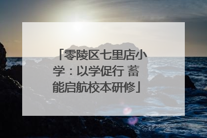 零陵区七里店小学：以学促行 蓄能启航校本研修