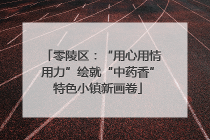 零陵区：“用心用情用力”绘就“中药香”特色小镇新画卷